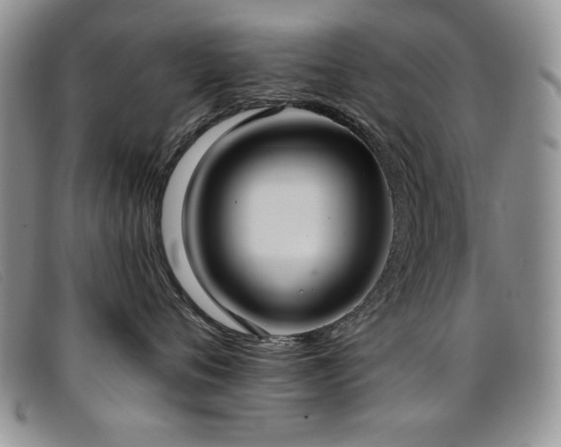 X0000096680720200802051246