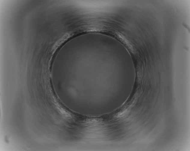 X0000096680721200802051245