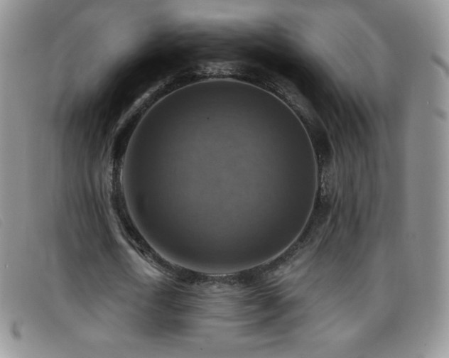 X0000096680722200802051245