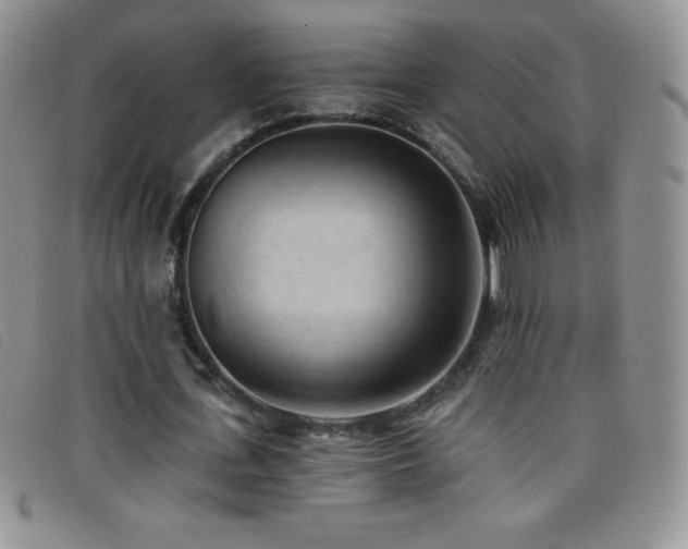 X0000096680723200802051245
