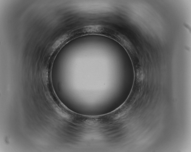 X0000096680725200802051245