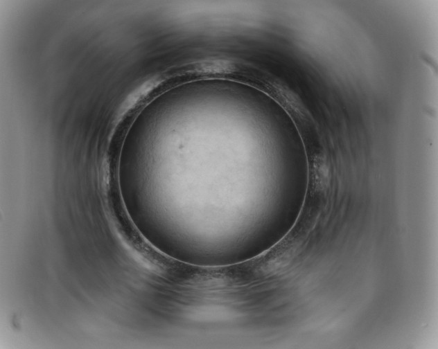 X0000096680726200802051245