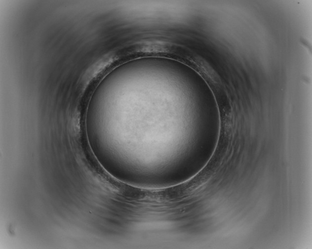 X0000096680727200802051245