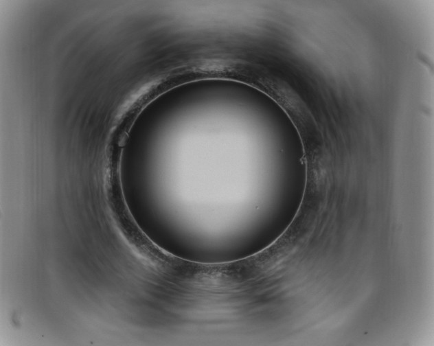 X0000096680728200802051245