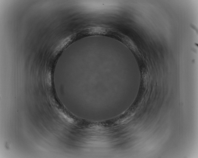 X0000096680729200802051245
