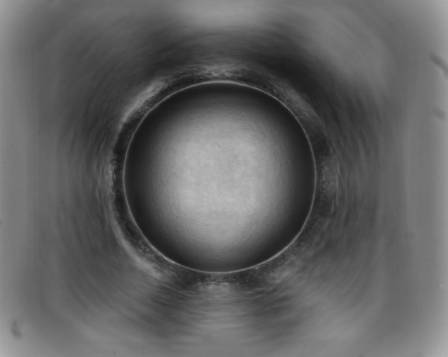 X0000096680730200802051245