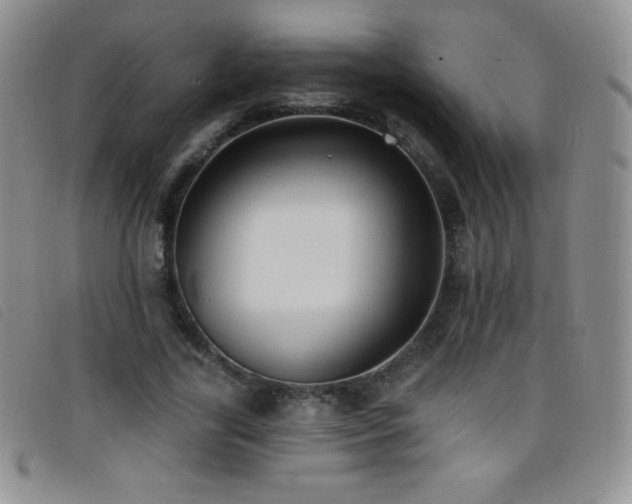 X0000096680731200802051245