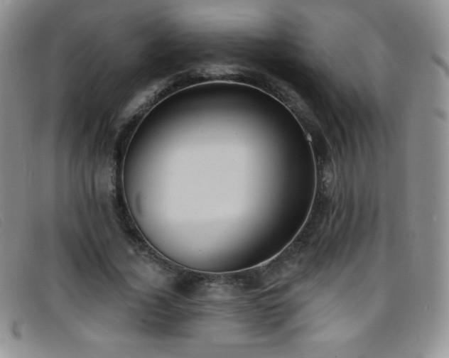 X0000096680732200802051245