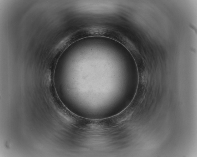 X0000096680733200802051245