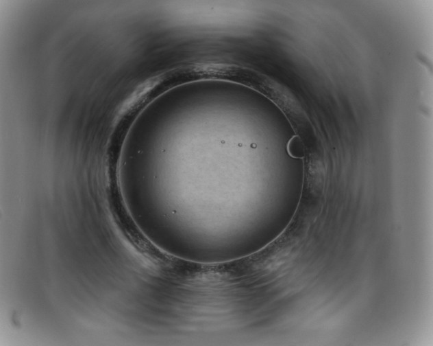 X0000096680734200802051245