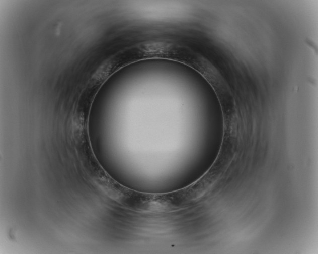 X0000096680737200802051245