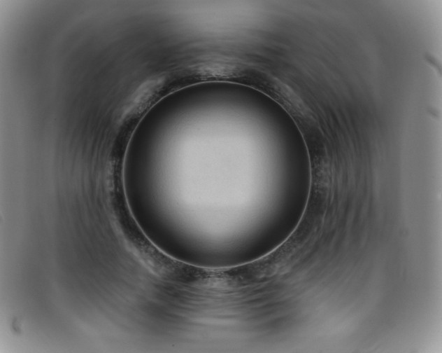 X0000096680738200802051245