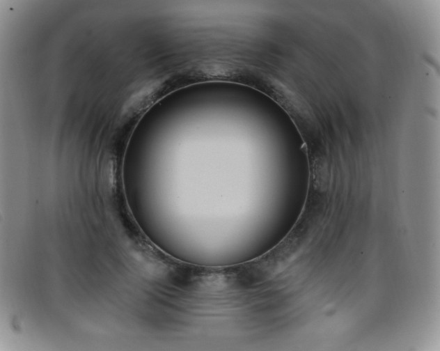 X0000096680740200802051245
