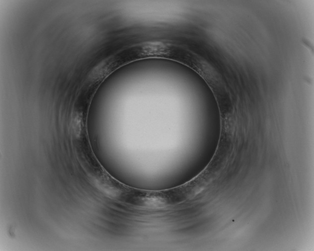 X0000096680741200802051245