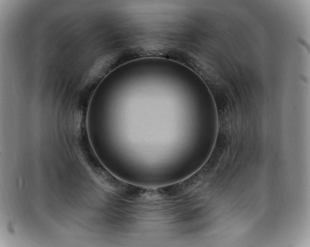 X0000096680742200802051245