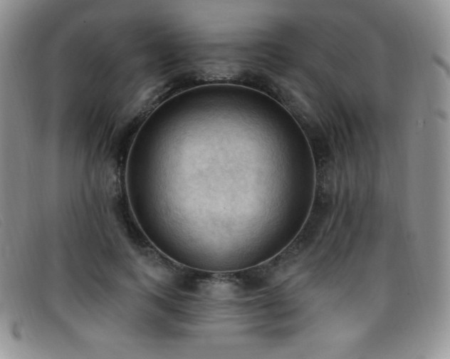 X0000096680743200802051245