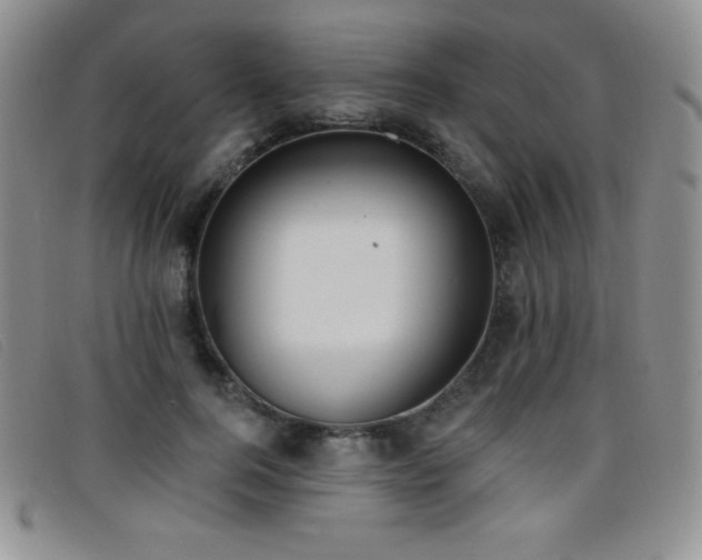 X0000096680744200802051245