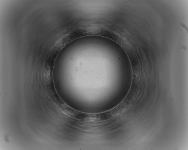 X0000096680745200802051245