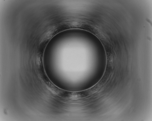 X0000096680746200802051245