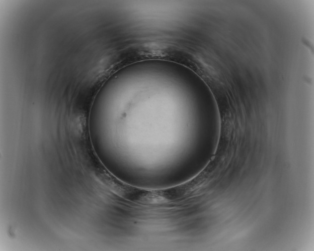X0000096680747200802051245