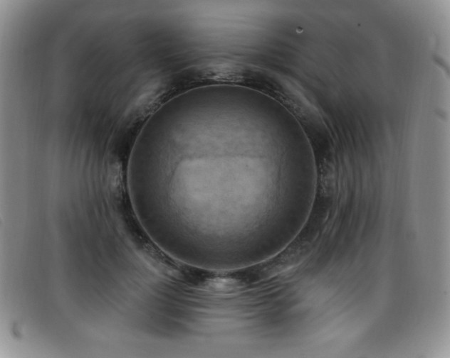 X0000096680748200802051245