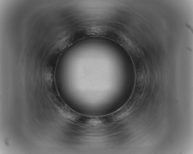 X0000096680749200802051245