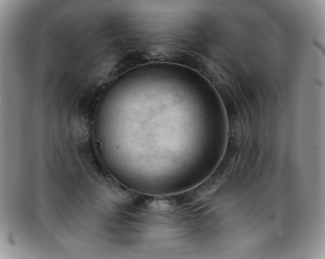 X0000096680751200802051246