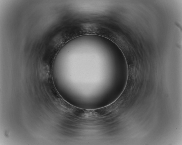 X0000096680752200802051246