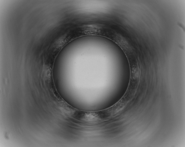 X0000096680753200802051246
