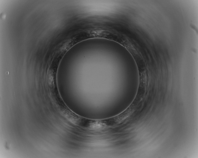X0000096680754200802051246