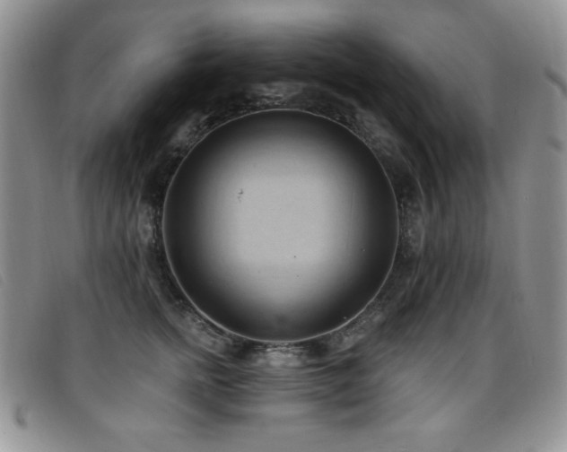 X0000096680758200802051246