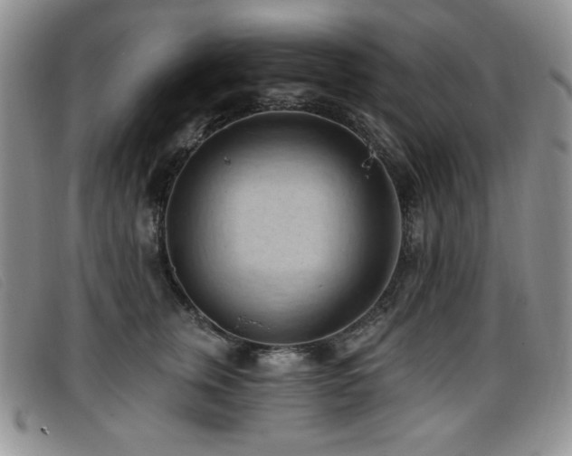 X0000096680759200802051246