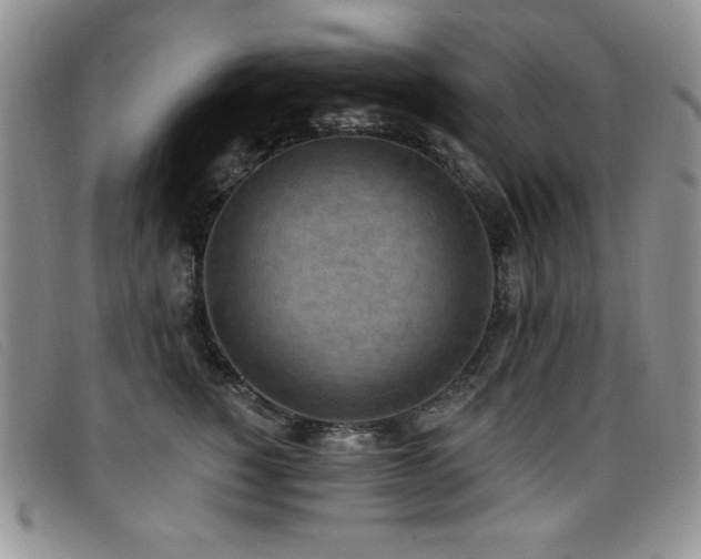X0000096680760200802051246