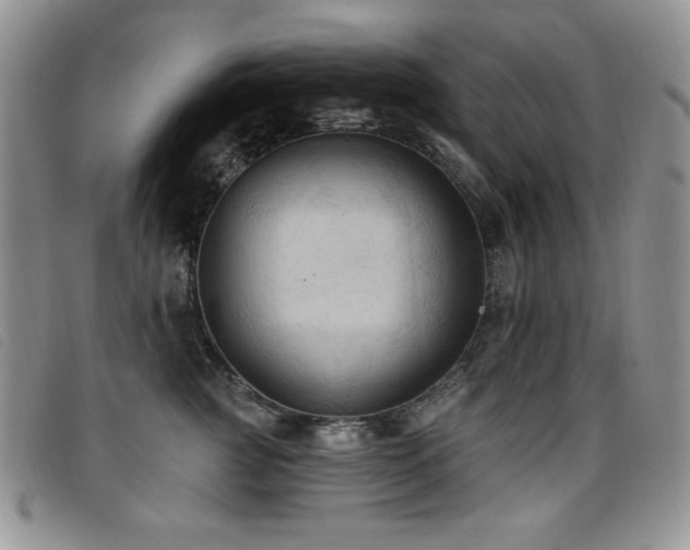 X0000096680761200802051246