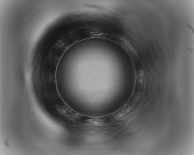 X0000096680763200802051246