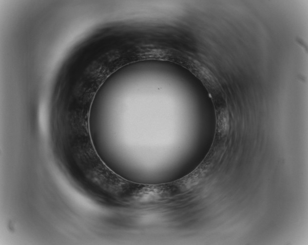 X0000096680764200802051246