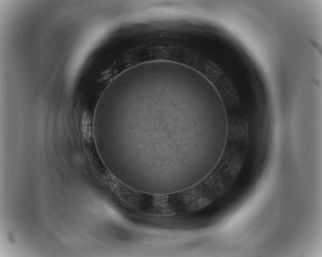 X0000096680766200802051246
