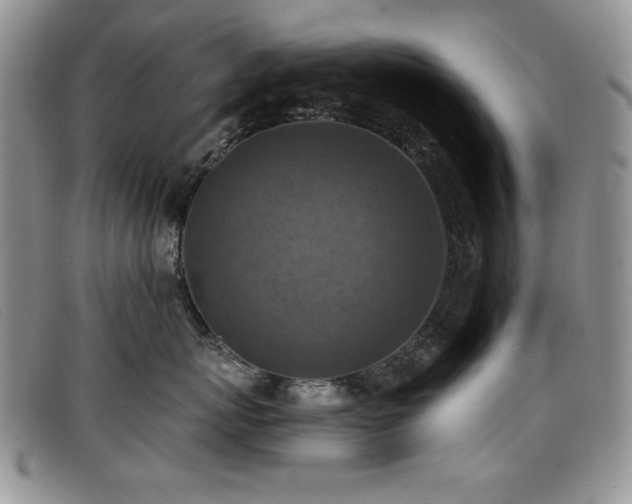 X0000096680767200802051246