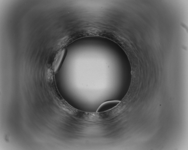 X0000096680768200802051246