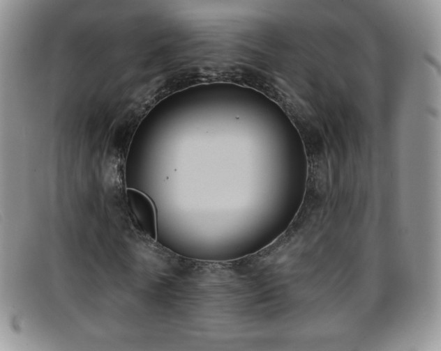X0000096680770200802051245