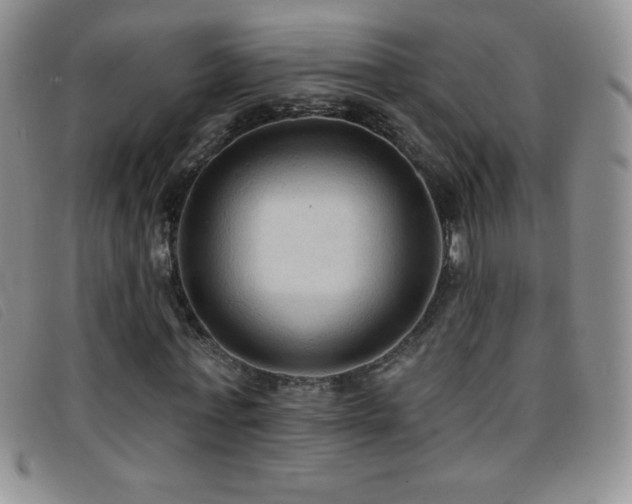 X0000096680771200802051245