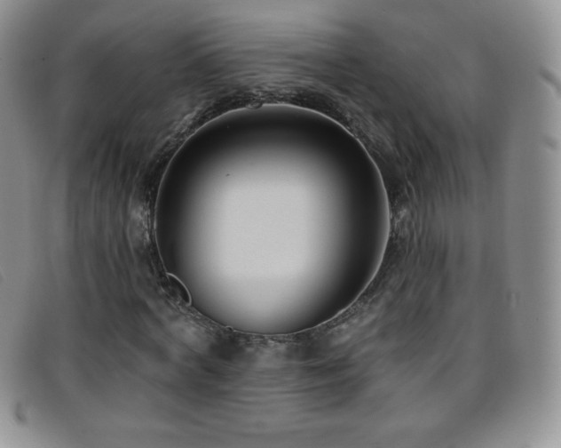 X0000096680772200802051245