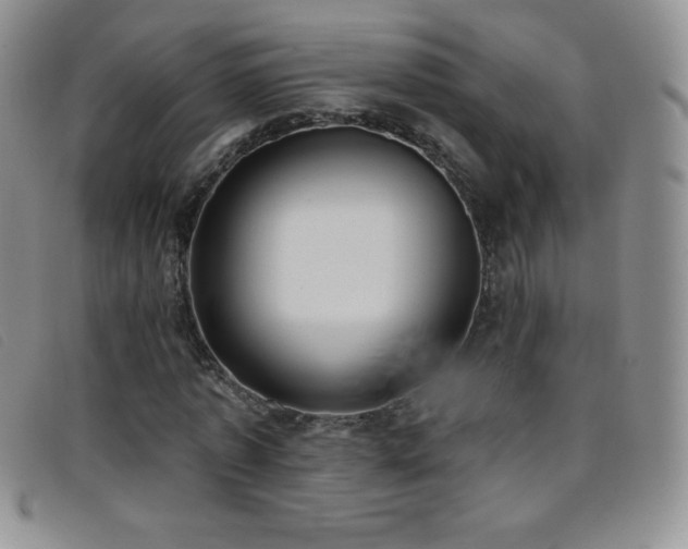 X0000096680773200802051245