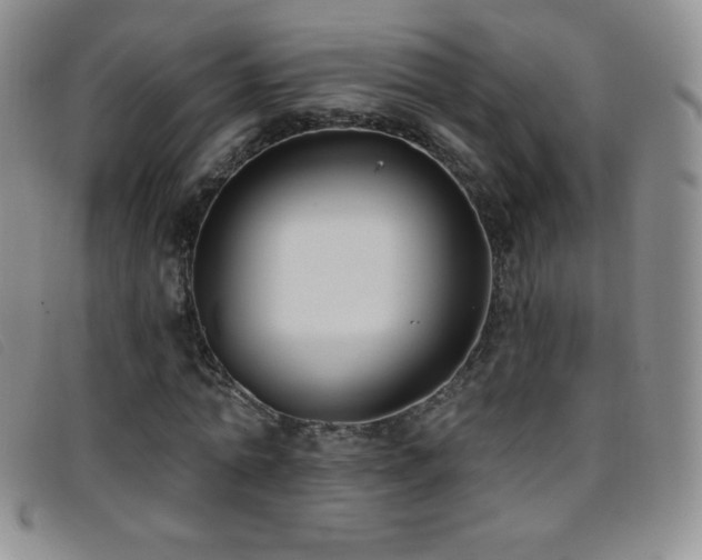 X0000096680774200802051245