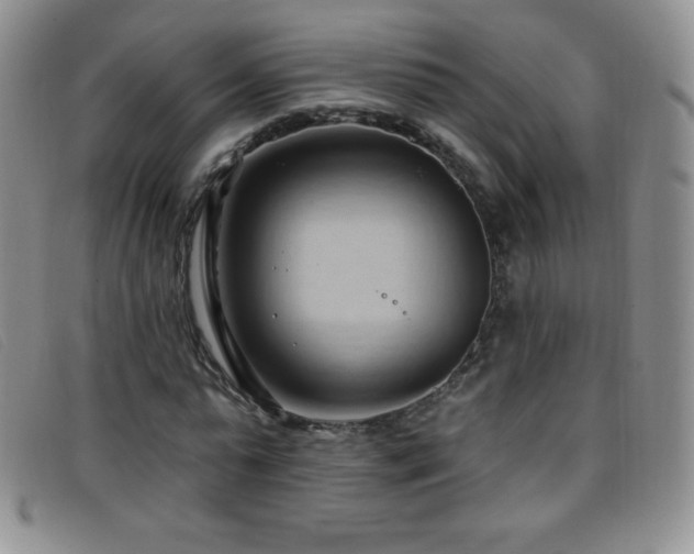 X0000096680775200802051245
