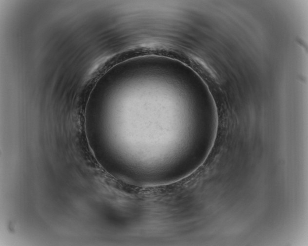 X0000096680776200802051245