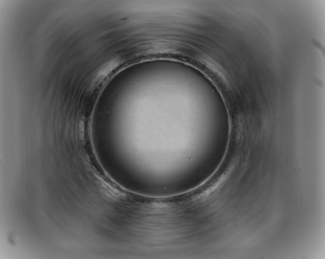 X0000096680777200802051245