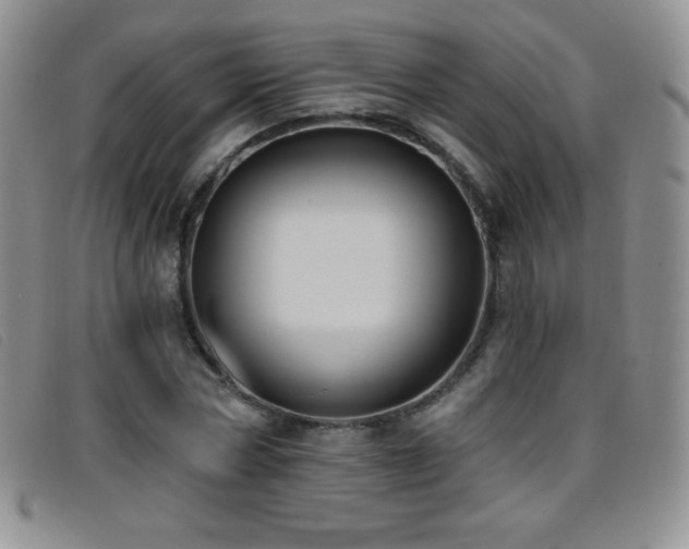 X0000096680778200802051245