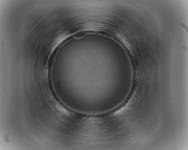 X0000096680779200802051245