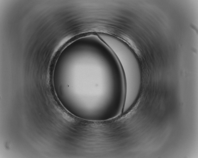 X0000096680780200802051245